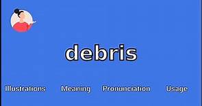 DEBRIS - Meaning and Pronunciation