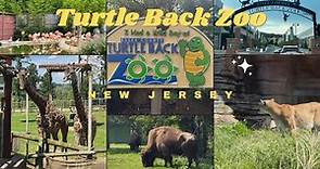 Turtle Back Zoo Full Tour Essex County New Jersey | Animals