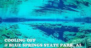 Blue Springs State Park Alabama - Quick Review