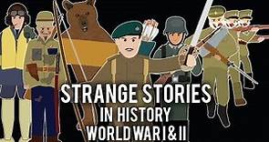 Strange Stories in History - Compilation Volume 1