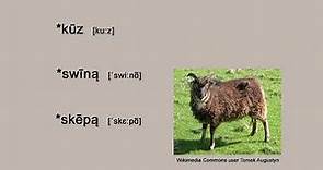 Proto-Germanic Farming Terminology