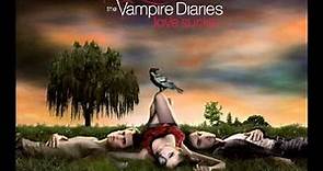 The Vampire Diaries Passion and Danger