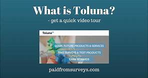 What is Toluna? And how do I use it?