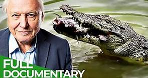 David Attenborough's Wild City | Episode 1: Hidden Wild | Free Documentary Nature