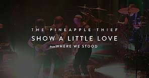 The Pineapple Thief - Show a Little Love (from the Where We Stood concert film)