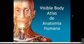 Tutorial Visible Body Atlas de Anatomía 3D