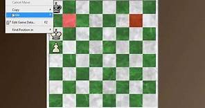 Chess Basics #4: King and pawn endings - Corner cases