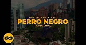 Bad Bunny ft. Feid - Perro Negro (Letra/Lyrics) | nadie sabe lo que va a pasar mañana