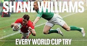 Every Shane Williams Try at the World Cup! 🏴󠁧󠁢󠁷󠁬󠁳󠁿