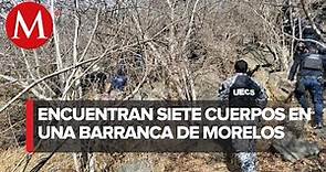 Encuentran siete cuerpos en avanzado estado de descomposición en Michoacán