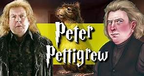 The Entire Life Of Peter Pettigrew (Harry Potter Explained)