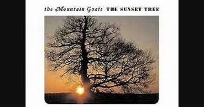 The Mountain Goats - Dilaudid