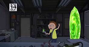 Rick and Morty S05E09 Forgetting Sarick Mortshall