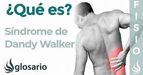 SÍNDROME de DANDY WALKER | Qué es, qué estructuras afecta, síntomas, signos, causas y tratamiento