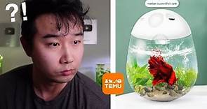 Fish Tanks are getting crazy | Fish Tank Review 235