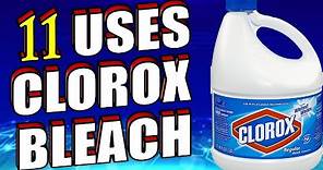 11 Useful Uses & Benefits of Clorox Bleach For Homes