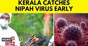 Nipah Virus News Updates | Relief For Kerala As No New Cases Of Nipah Virus Found | N18V