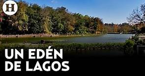 Conoce Paseo de los Lagos, el parque con uno de los lagos más grandes de Xalapa, Veracruz