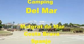 Camping Del Mar - Malgrat de Mar - Spanje - Costa Brava