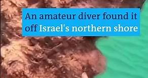 900-year-old ancient Crusader sword discovered by diver | DW News
