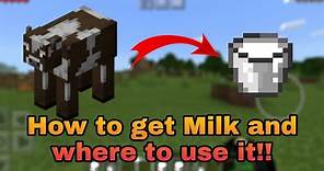 How To Get Milk and What are its uses in Minecraft!! | Detailed Explanation | Step By Step | Simple