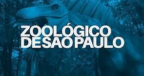 Conheça o ZOOLÓGICO de São Paulo