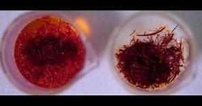 What is Saffron? – The History, Origin, Story, Cultivation, ISO 3632 Certification - Spice