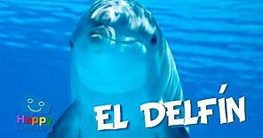 El Delfín | Videos Educativos para Niños