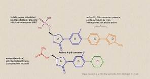 Linezolid/Fosfato de Tedizolid (antibacterianos) síntesis introducción
