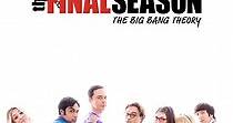The Big Bang Theory Season 12 - watch episodes streaming online