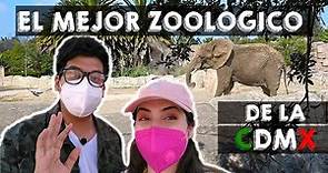 Zoológico de Aragón EN LA CDMX - Somosjovynath