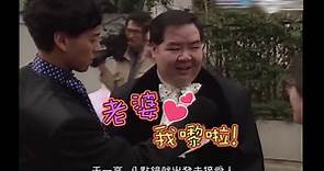 肥猫郑则仕林燕明结婚1991报道