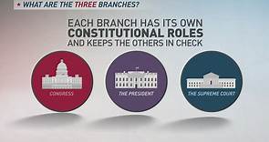 Explaining the 3 branches of government in 60 seconds