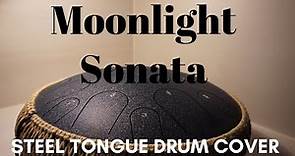Moonlight Sonata [Steel Tongue Drum cover with tabs]