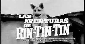 Las Aventuras de Rin Tin Tin - Serie de TV ( Español Latino )