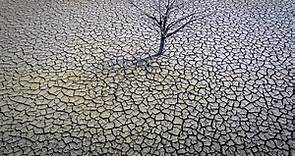 求雨！西班牙6成農地乾旱 這些作物恐歉收、飲水拉警報 - 國際