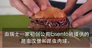 昆蟲漢堡，還是昆蟲肉丸？ 食用昆蟲在瑞士合法化