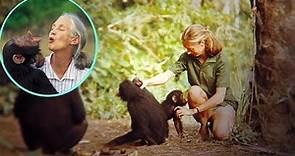 Jane Goodall: la verdadera reina de la selva