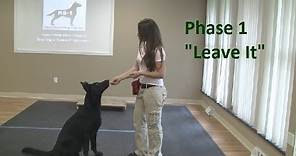 How to Train a Dog to "Leave It" (K9-1.com)