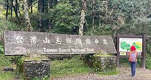 宜蘭太平山森林遊樂區～台灣山毛櫸國家步道