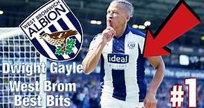 Dwight Gayle - West Brom - All Goals