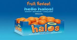 ⟹ Halos Mandarin Oranges | Citrus reticulata | Fruit Review