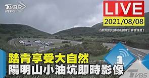 踏青享受大自然 陽明山小油坑即時影像LIVE【畫面提供:陽明山國家公園管理處】