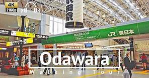 [4K/Binaural] Odawara Walking Tour - Kanagawa Japan