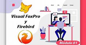 📌 14 - Configurar el odbc driver de Firebird | Visual FoxPro y Firebird