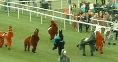 CRAZY pantomime horse race at Chester!