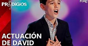 ACTUACIÓN DE DAVID (CANTO) | Prodigios