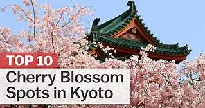 Top 10 Cherry Blossom Spots in Kyoto | japan-guide.com