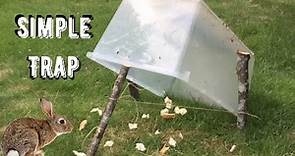 How To Make A Simple Rabbit Trap In Under 5 Minutes - Step By Step Tutorial