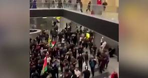 Videos capture scene as mob storms Russian airport